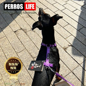 犬用ハーネス＆リード1.2mセット｜幅が揃う・首を通さない イタリア製 PERROS｜ペット用首輪・ハーネス｜犬用ハーネス PERROS ペルロス ハーネス&リーシュ セット - Alice's Dog & Cat
