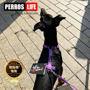 犬用ハーネス＆リード1.2mセット｜幅が揃う・首を通さない イタリア製 PERROS｜ペット用首輪・ハーネス｜犬用ハーネス PERROS ペルロス ハーネス&リーシュ セット - Alice's Dog & Cat