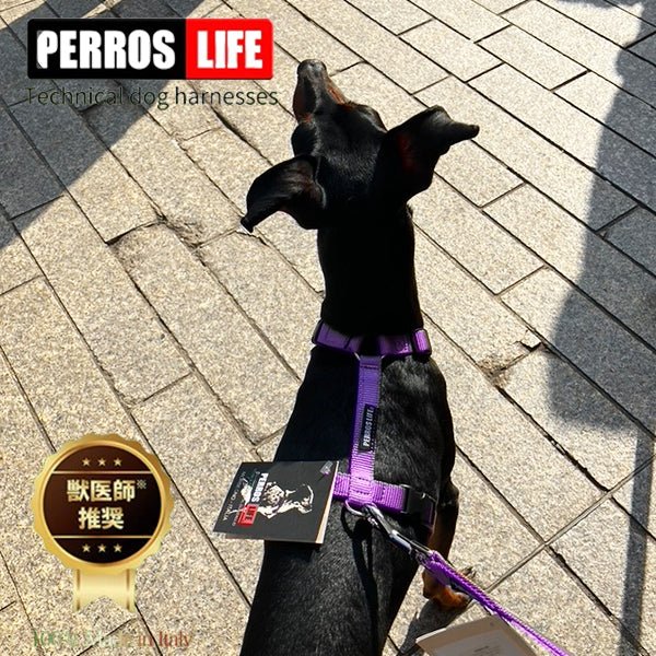 犬用ハーネス＆リード1.2mセット｜幅が揃う・首を通さない イタリア製 PERROS｜ペット用首輪・ハーネス｜犬用ハーネス PERROS ペルロス ハーネス&リーシュ セット - Alice's Dog & Cat