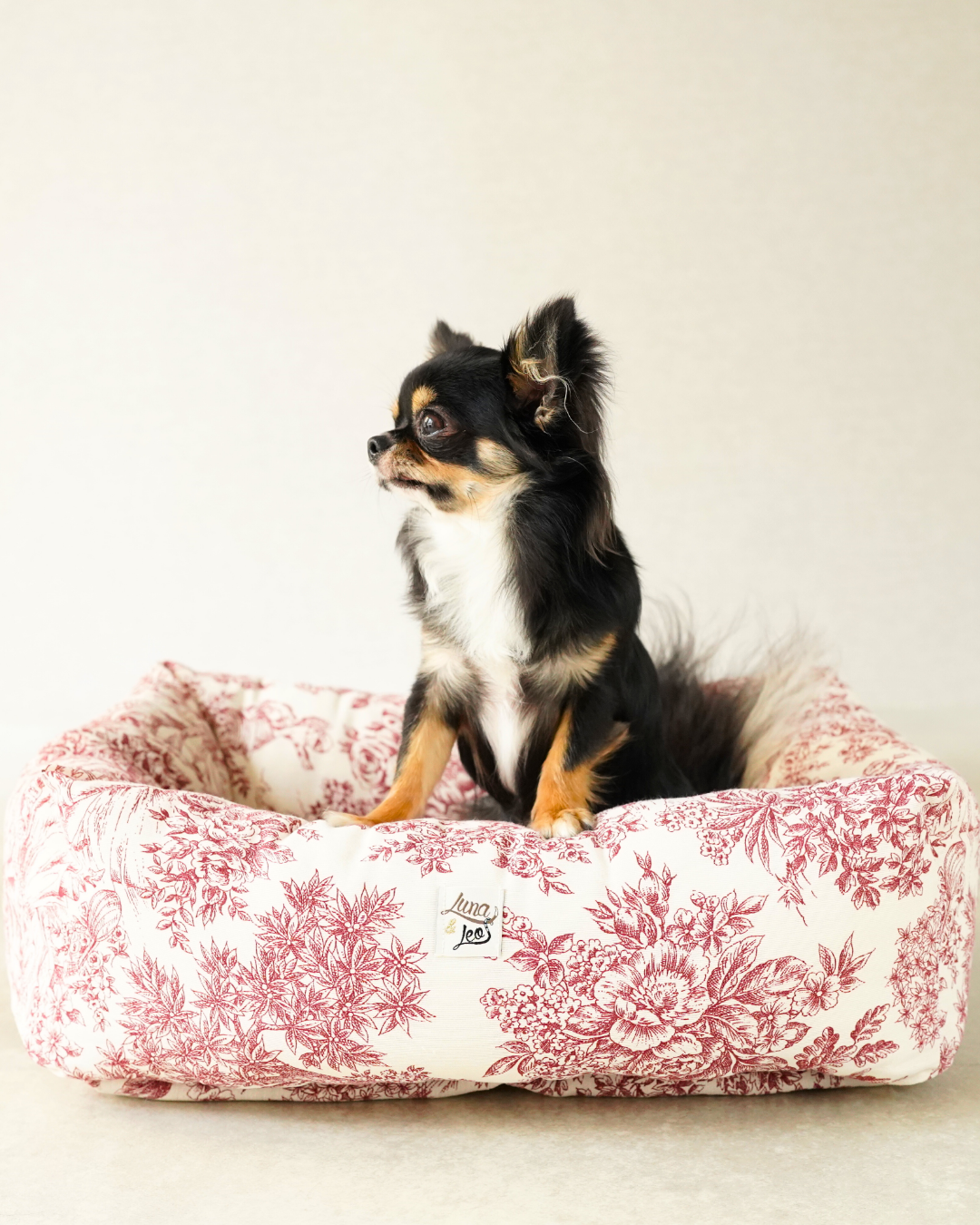 ペット用品販売｜Alice's Dog & Cat 犬猫用ベッド＆マット｜高
