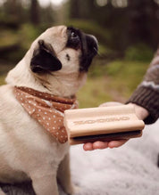 抜け毛取り ZOORO グルーミングコーム 短毛用 犬 猫 うさぎ 換毛期 アンダーコート