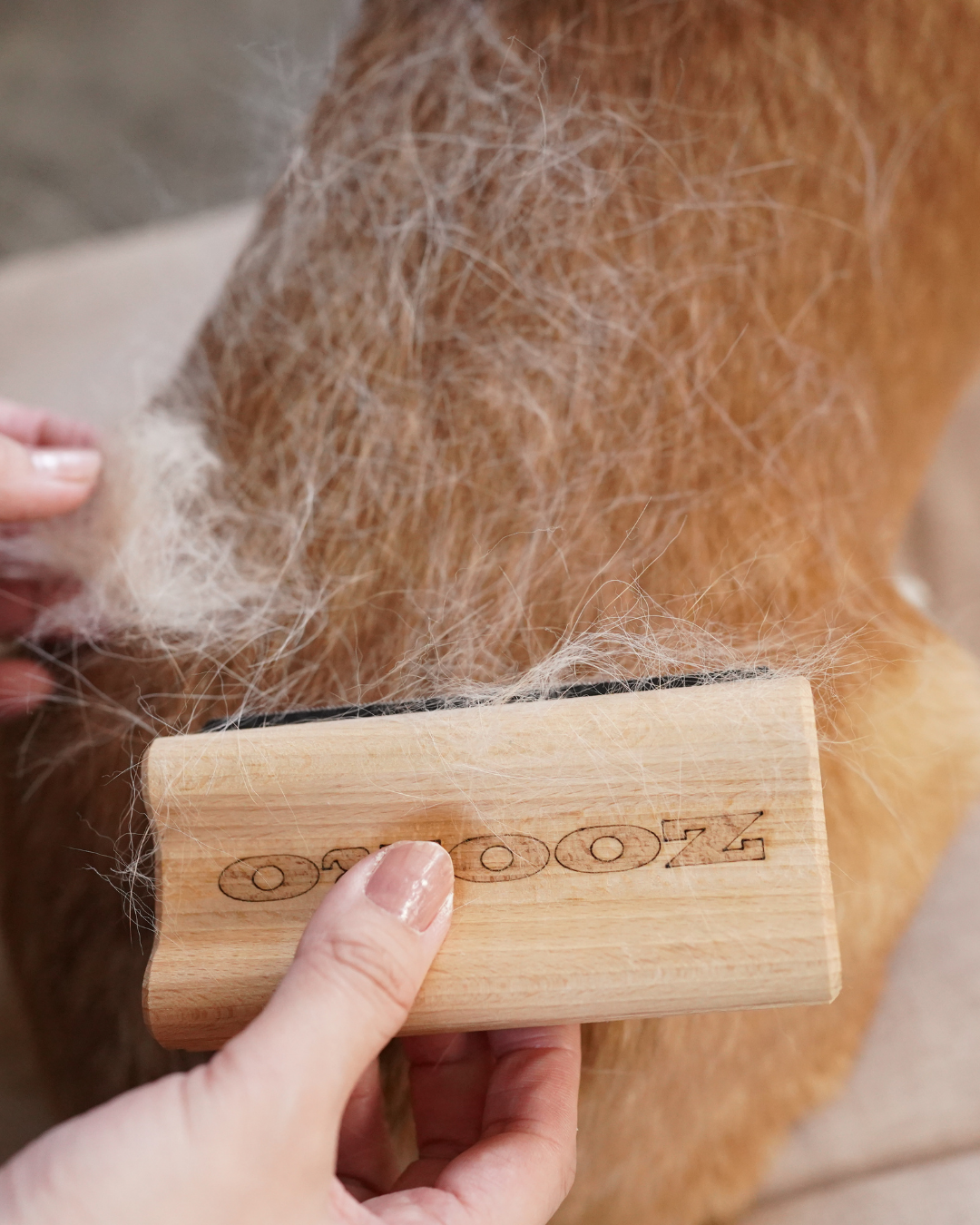 犬猫うさぎの抜け毛取り- ZOORO 短毛用 グルーミングコーム | プロ仕様ペット用ブラシ