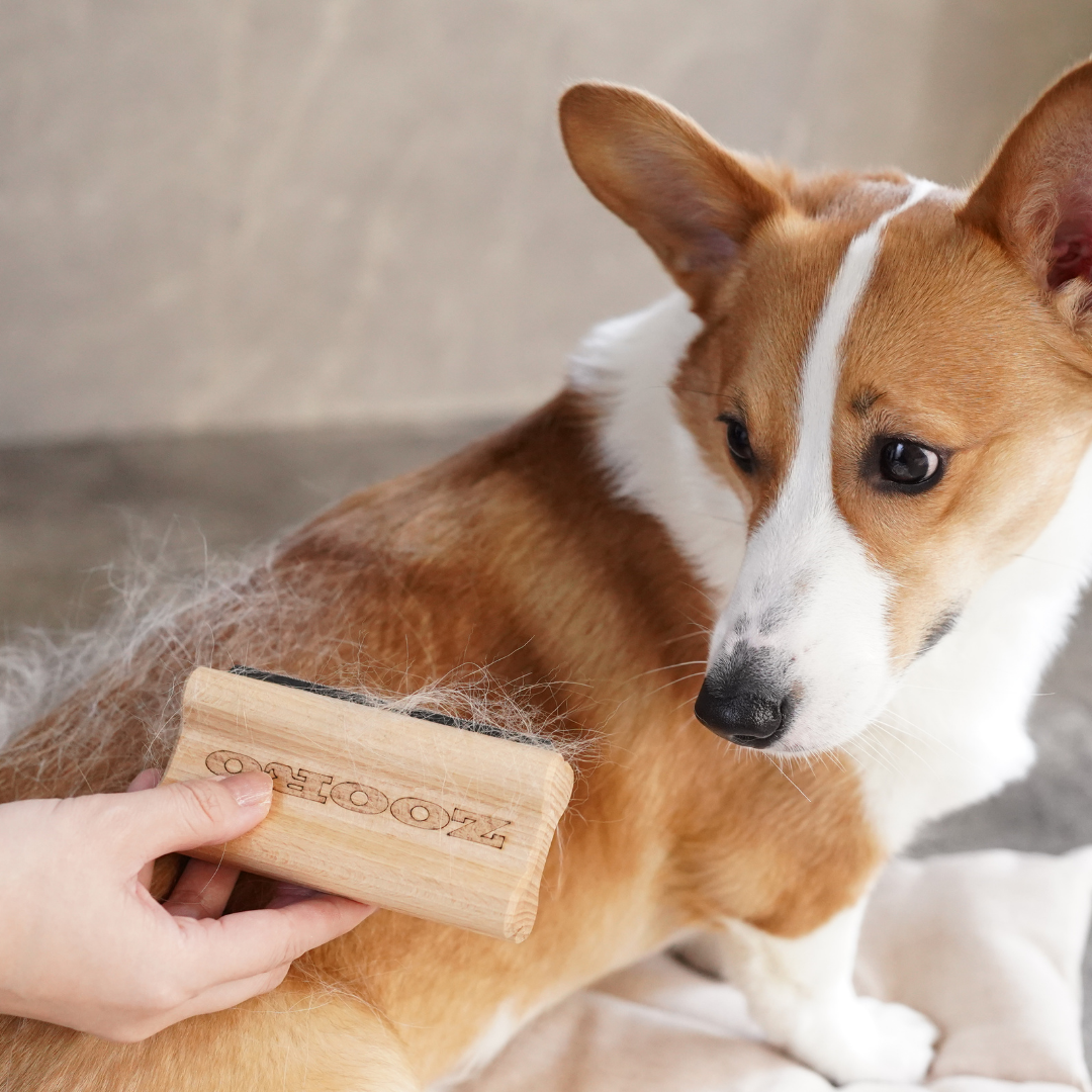 犬猫うさぎの抜け毛取り- ZOORO 短毛用 グルーミングコーム | プロ仕様ペット用ブラシ