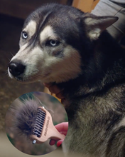 犬猫の抜け毛取り - ZOORO 長毛用 グルーミングコーム ロングタイプ | プロ仕様のペット用ブラシ