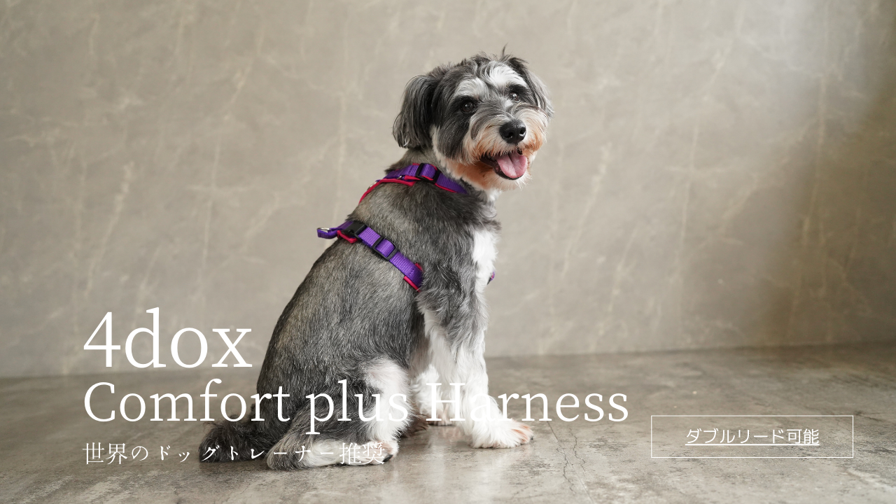 犬ハーネス トレーニング用 4dox ハーネス　ドッグトレーナー推奨ハーネス