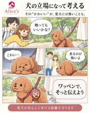 犬のお散歩メッセージワッペン 2枚入り｜NO・SCARED・DANGER・YES｜犬猫お出かけ用｜犬のお散歩メッセージワッペン ストーリー
