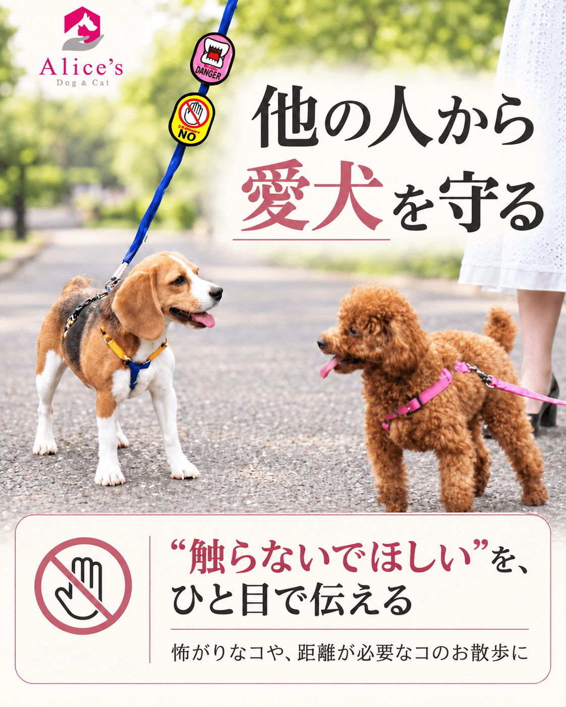 犬のお散歩メッセージワッペン 2枚入り｜NO・SCARED・DANGER・YES｜犬猫お出かけ用｜愛犬を守る｜NO・SCARED・DANGER・YES