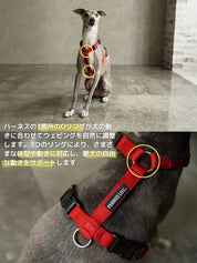 犬用ハーネス PERROS ペルロス 獣医師推奨 抜けない Y型 H型 小型犬〜大型犬 8サイズ