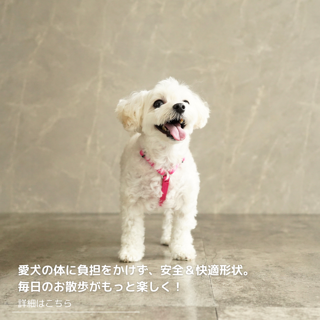 犬用ハーネス