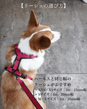 犬用リード 4dox - スウィッチリーシュ 2M | 多機能・長さ調整・肩掛けできる便利リード｜ペット用リード｜犬用リード 4dox - スウィッチリーシュ 2M | 多機能・長さ調整・肩掛けできる便利リード