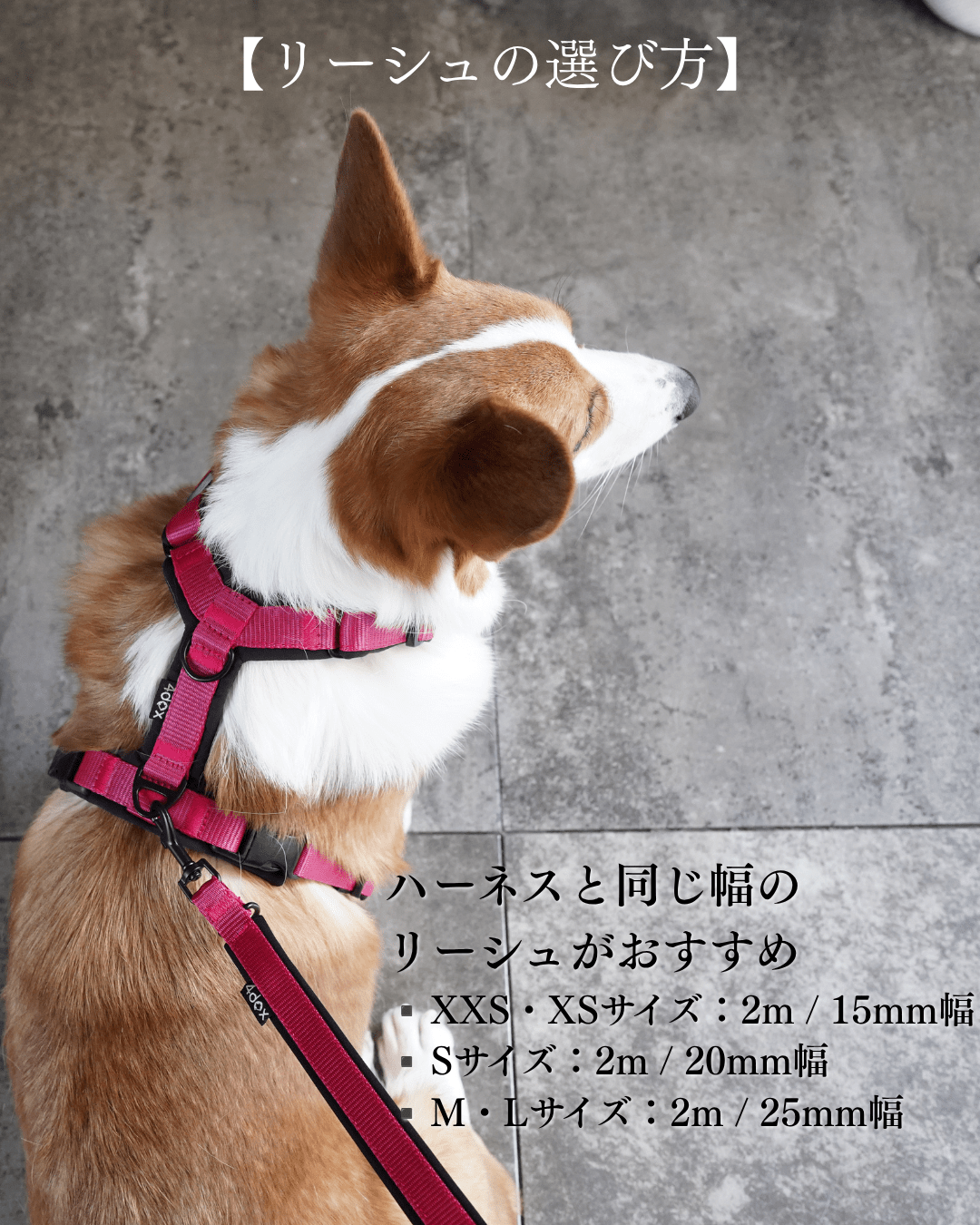 犬用リード 4doxスウィッチリージュ|1本で多機能 シーンに合わせて 犬用リード 4doxスウィッチリージュ|1本で多機能 シーンに合わせて