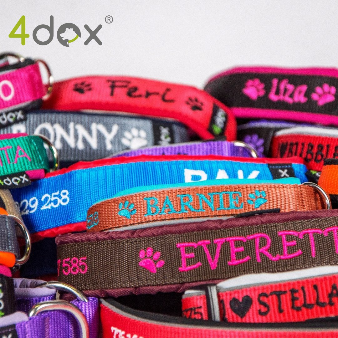 フォーペッツオンリー　For Pets Only   首輪25とリード　セット フォーペッツオンリー For Pets Only 首輪25とリード セット