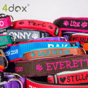 犬用リード 4dox スウィッチリーシュ – カスタムメイドリーシュ 2M｜ペット用リード｜