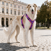 犬用ハーネス 4dox コンフォートプラス パープル｜引っ張りに強い全体パッド・3リング チェコ製｜ペット・ペット用品>ペット用品>ペット用首輪・ハーネス｜犬用ハーネス 4dox コンフォートプラス パープル｜引っ張りに強い全体パッド・3リング チェコ製