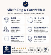 犬用ハーネス 4dox コンフォートプラス ブラック反射カモフラージュカラー | 全体パッド付きで引っ張りの負担を軽減｜全体パッドで引っ張り軽減・3リングでトレーニング最適｜ペット用首輪・ハーネス｜犬用ハーネス 4dox コンフォートプラス ブラック反射カモフラージュカラー | 全体パッド付きで引っ張りの負担を軽減｜全体パッドで引っ張り軽減・3リングでトレーニング最適