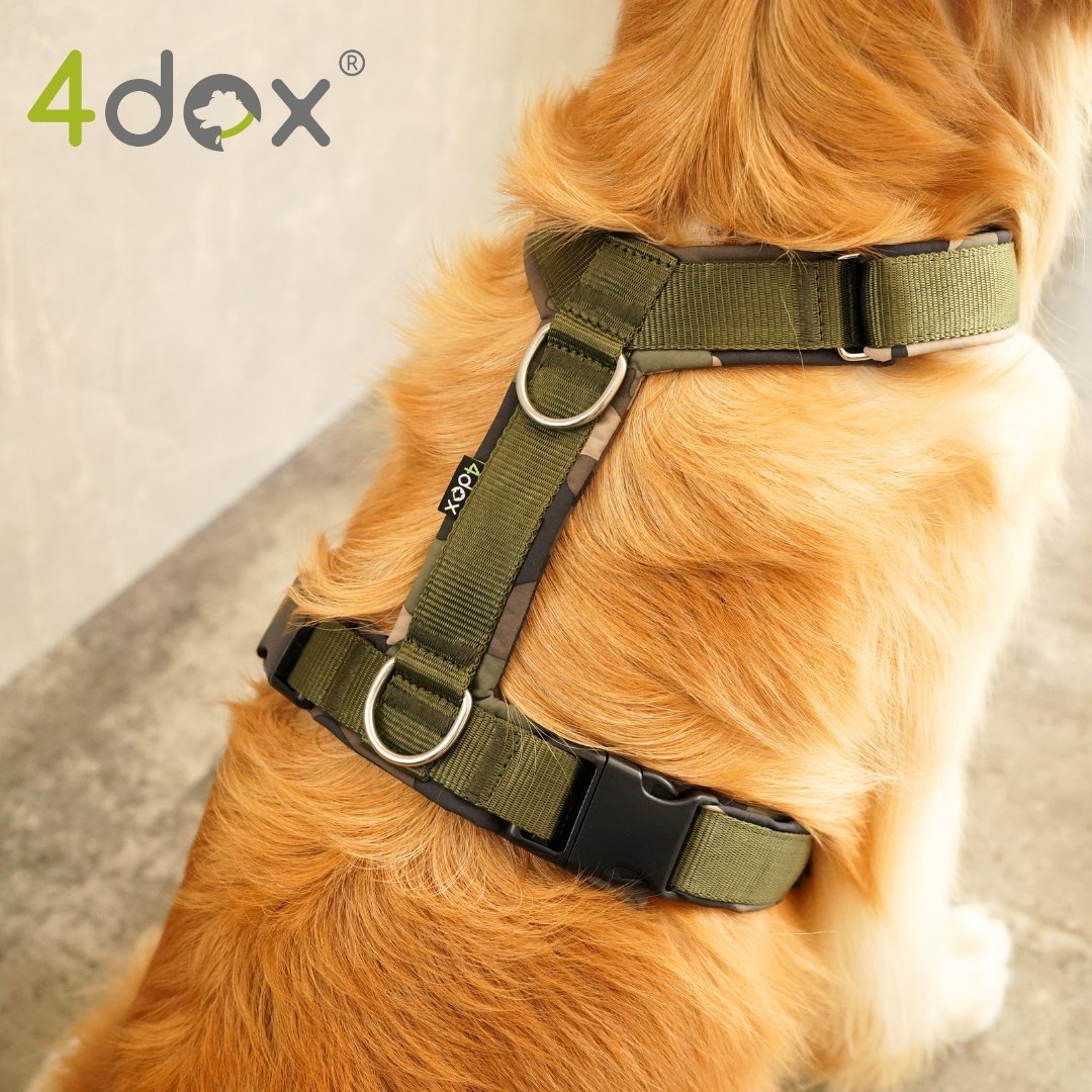 犬用ハーネス｜2トーンカラーがおしゃれ｜4doxコンフォートプラス