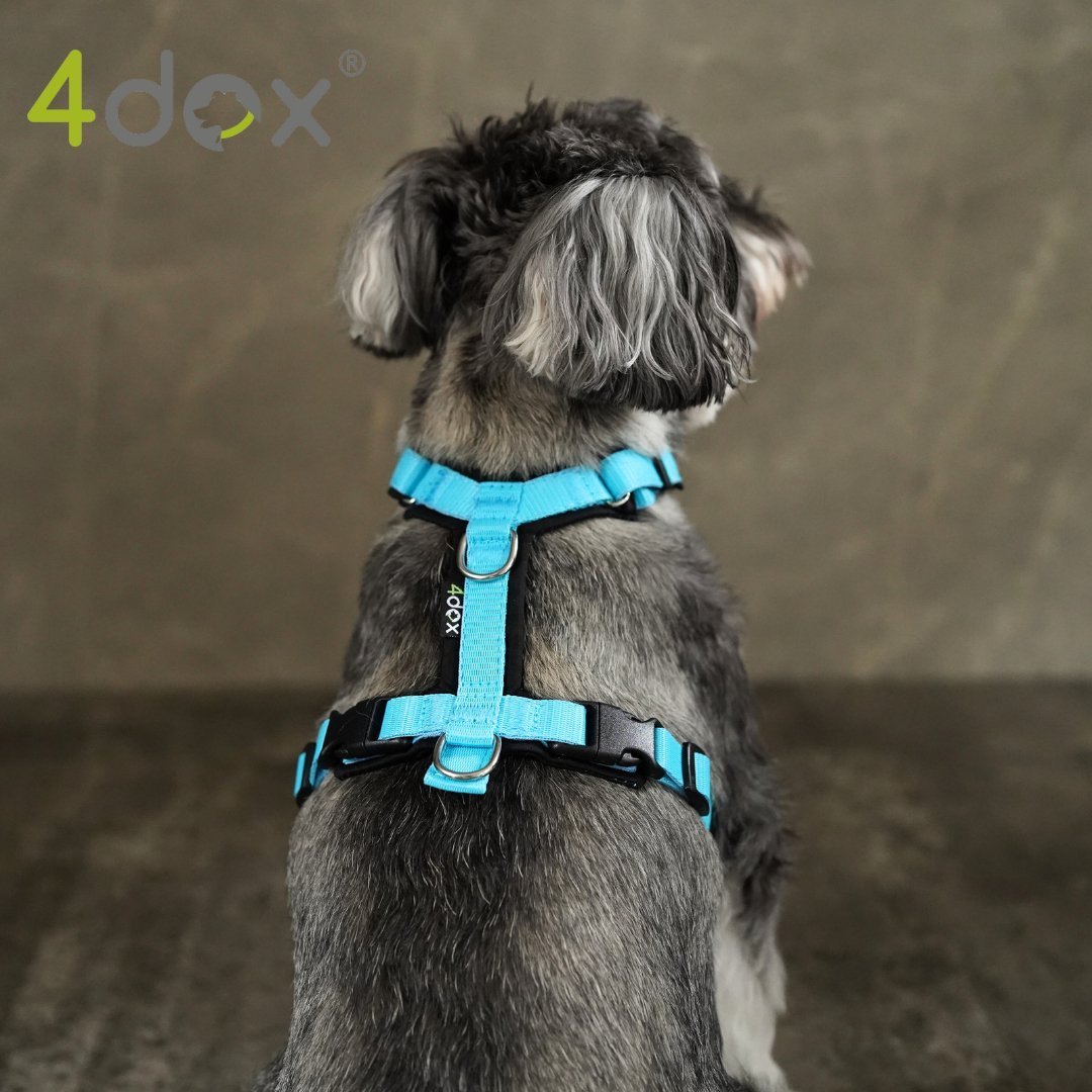犬用ハーネス 4dox - コンフォートプラスハーネス ドッグトレーナー推奨 BAT対応3リング付き｜ペット用首輪・ハーネス｜犬用ハーネス 4dox - 安全・快適でおしゃれなデザインの散歩用ハーネス｜ペット用首輪・ハーネス