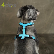 犬用ハーネス 4dox - コンフォートプラスハーネス ドッグトレーナー推奨 BAT対応3リング付き｜ペット用首輪・ハーネス｜犬用ハーネス 4dox - 安全・快適でおしゃれなデザインの散歩用ハーネス｜ペット用首輪・ハーネス