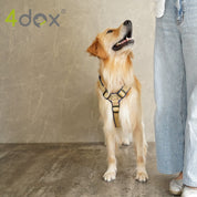 犬用ハーネス 4dox - コンフォートプラスハーネス ドッグトレーナー推奨 BAT対応3リング付き｜ペット用首輪・ハーネス｜犬用ハーネス 4dox - 安全・快適でおしゃれなデザインの散歩用ハーネス｜ペット用首輪・ハーネス