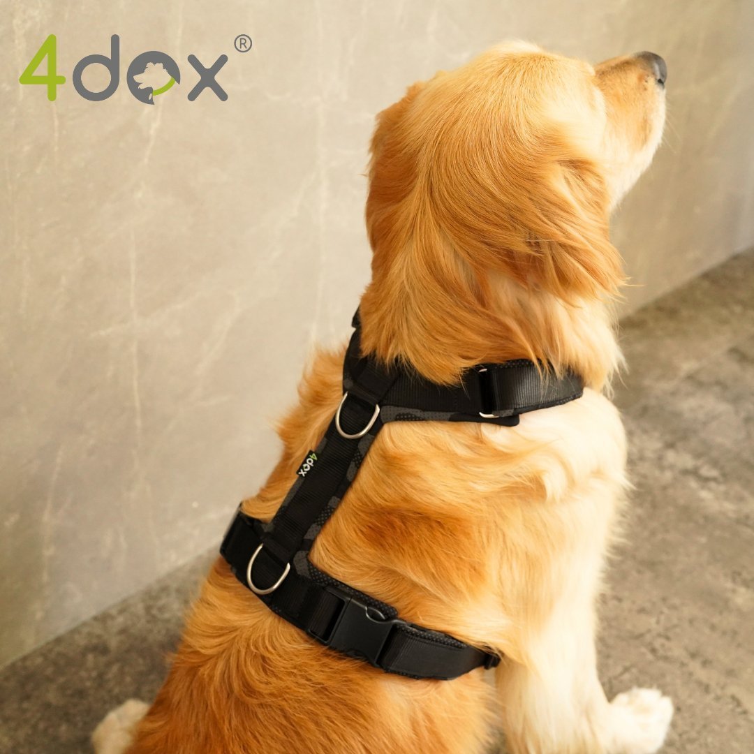 犬用ハーネス 4dox - コンフォートプラスハーネス ドッグトレーナー推奨 BAT対応3リング付き｜ペット用首輪・ハーネス｜犬用ハーネス 4dox - 安全・快適でおしゃれなデザインの散歩用ハーネス｜ペット用首輪・ハーネス