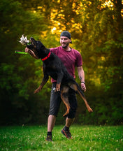 犬猫用 4dox 羊毛ドラッグトイ L サイズ 衝撃吸収リード付き｜ペット・ペット用品｜犬猫用 4dox 羊毛ドラッグトイ L サイズ 衝撃吸収リード付き