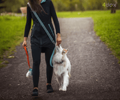 犬猫用 4dox 羊毛ドラッグトイ M サイズ 衝撃吸収リード付き｜ペット・ペット用品｜犬猫用 4dox 羊毛ドラッグトイ M サイズ 衝撃吸収リード付き