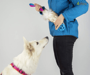 犬猫用 4dox 羊毛ドラッグトイ M サイズ 衝撃吸収リード付き｜ペット・ペット用品｜犬猫用 4dox 羊毛ドラッグトイ M サイズ 衝撃吸収リード付き