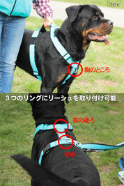 犬用ハーネス 【正規取扱店】4dox(フォードックス) コンフォートプラスハーネス｜ペット用首輪・ハーネス｜犬用ハーネス 【正規取扱店】4dox(フォードックス) コンフォートプラスハーネス