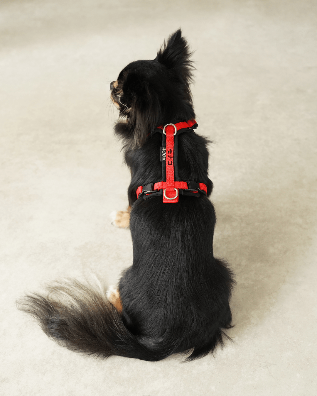 犬用ハーネス 4dox コンフォトプラスハーネス 小型犬用 – カスタムメイドハーネス オリジナルカラー＆文字入れ無料｜ペット用首輪・ハーネス