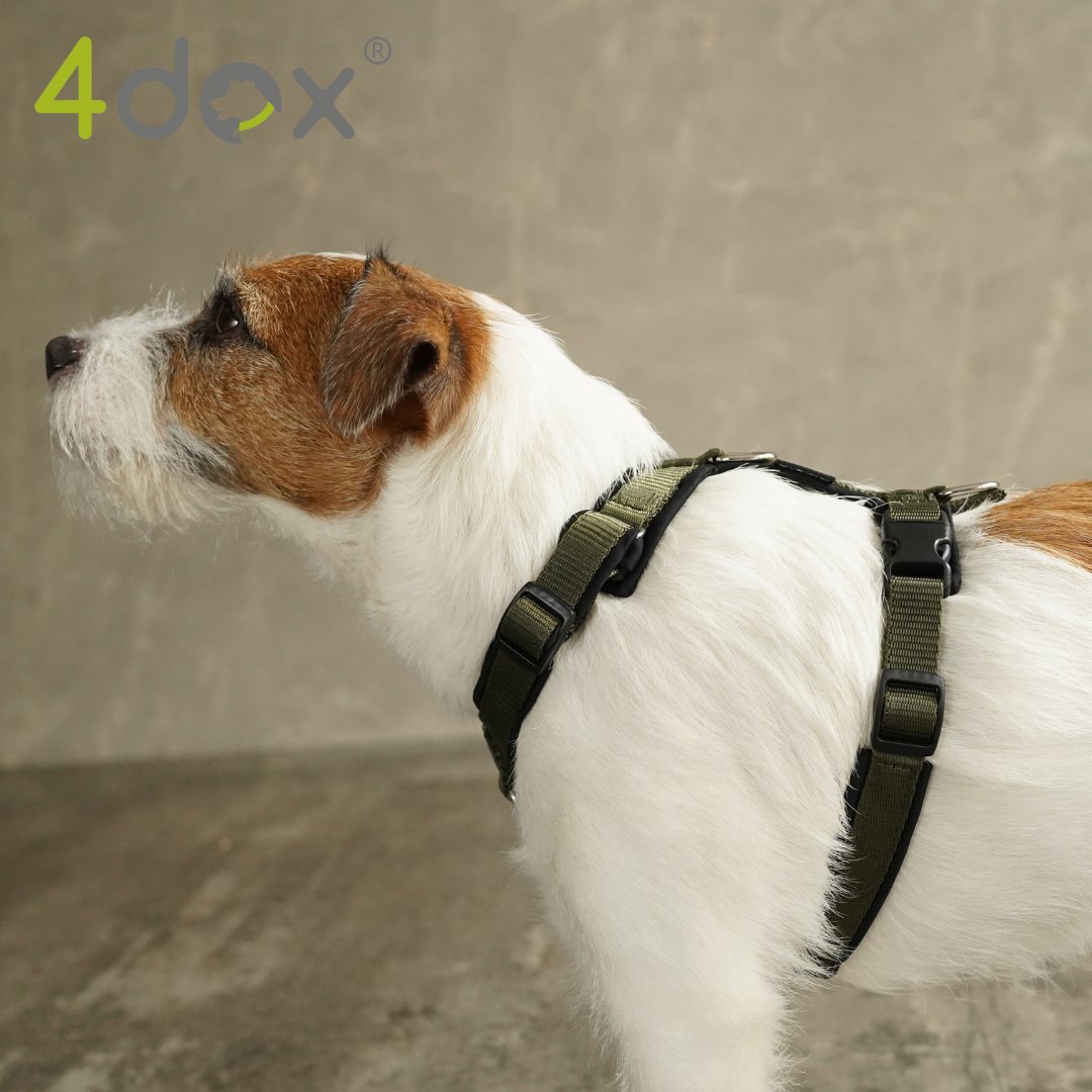 犬用ハーネス 4dox - 安全・快適でおしゃれなデザインの散歩用ハーネス｜ペット用首輪・ハーネス