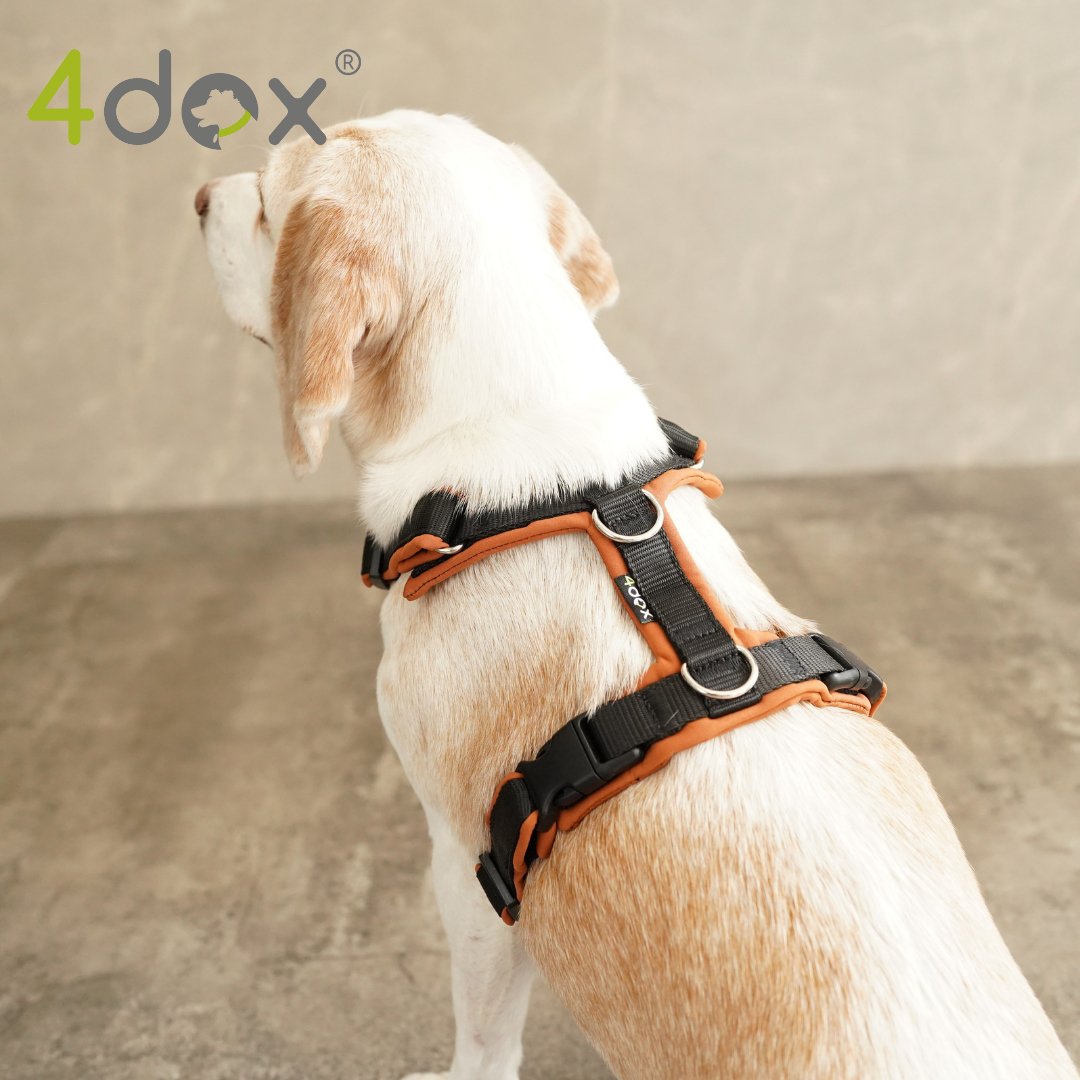 犬用ハーネス 4dox - 安全・快適でおしゃれなデザインの散歩用ハーネス｜ペット用首輪・ハーネス