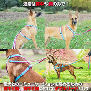 犬用ハーネス 4dox - カプチーノカラー | 全体パッド付きで引っ張りの負担を軽減｜ドッグトレーナー推奨ハーネス