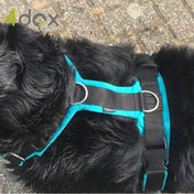 犬用ハーネス 4dox 中型犬・大型犬 – カスタムメイドハーネス オリジナルカラー＆文字入れ無料｜ペット用首輪・ハーネス｜