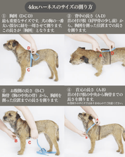 犬用ハーネス 【正規取扱店】4dox(フォードックス) コンフォートプラスハーネス｜ペット用首輪・ハーネス｜犬用ハーネス 【正規取扱店】4dox(フォードックス) コンフォートプラスハーネス