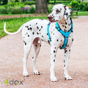 犬用ハーネス 4dox - コンフォートプラスハーネス｜ペット用首輪・ハーネス｜犬ハーネス 4dox コンフォートプラスハーネス 5サイズ/15カラー ダブルリード可能 ドッグトレーナーおすすめ