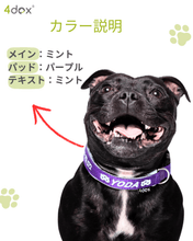 犬用 4dox｜小型犬・中型犬・大型犬対応 カスタムメイドネックバンド（クラシックカラー）｜オリジナルカラー＆無料名入れ｜ペット用首輪・ハーネス｜犬用 4dox｜小型犬・中型犬・大型犬対応 カスタムメイドネックバンド（クラシックカラー）｜オリジナルカラー＆無料名入れ