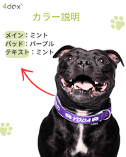 犬用 4dox｜小型犬・中型犬・大型犬対応 カスタムメイドネックバンド（クラシックカラー）｜オリジナルカラー＆無料名入れ｜ペット用首輪・ハーネス｜犬用 4dox｜小型犬・中型犬・大型犬対応 カスタムメイドネックバンド（クラシックカラー）｜オリジナルカラー＆無料名入れ