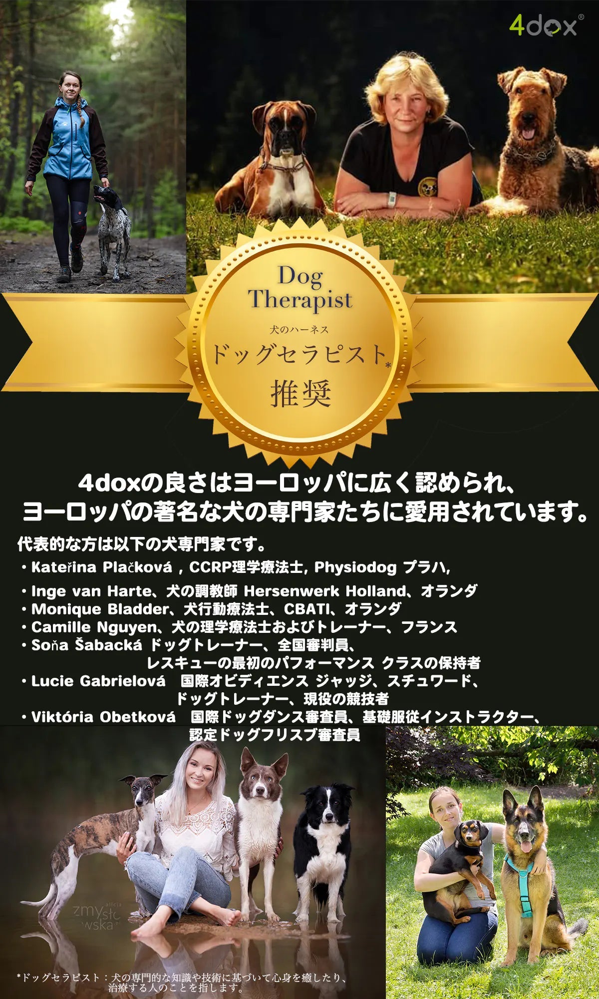 犬用ハーネス 【正規取扱店】4dox(フォードックス) コンフォートプラスハーネス｜ペット用首輪・ハーネス｜犬用ハーネス 【正規取扱店】4dox(フォードックス) コンフォートプラスハーネス