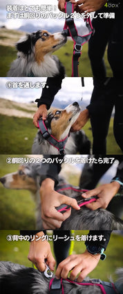 犬用ハーネス 【正規取扱店】4dox(フォードックス) コンフォートプラスハーネス｜ペット用首輪・ハーネス｜犬用ハーネス 【正規取扱店】4dox(フォードックス) コンフォートプラスハーネス