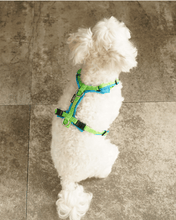 犬用ハーネス 4dox コンフォトプラスハーネス 小型犬用 – カスタムメイドハーネス オリジナルカラー＆文字入れ無料｜ペット用首輪・ハーネス｜犬用ハーネス 4dox コンフォトプラスハーネス 小型犬用 – カスタムメイドハーネス オリジナルカラー＆文字入れ無料