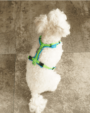 犬用ハーネス 4dox コンフォトプラスハーネス 小型犬用 – カスタムメイドハーネス オリジナルカラー＆文字入れ無料｜ペット用首輪・ハーネス