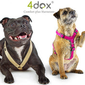 犬用ハーネス 4dox 中型犬・大型犬 – カスタムメイドハーネス オリジナルカラー＆文字入れ無料｜ペット用首輪・ハーネス｜犬用ハーネス 4dox - 安全・快適でおしゃれなデザインの散歩用ハーネス｜ペット用首輪・ハーネス