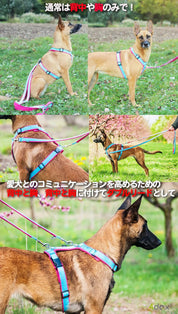 犬用ハーネス 【正規取扱店】4dox(フォードックス) コンフォートプラスハーネス｜ペット用首輪・ハーネス｜犬用ハーネス 【正規取扱店】4dox(フォードックス) コンフォートプラスハーネス