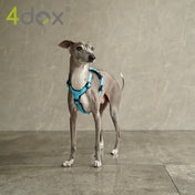 犬用ハーネス 4dox - コンフォートプラスハーネス｜ペット用首輪・ハーネス｜イタグレ