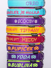 犬用 4dox｜小型犬・中型犬・大型犬対応 カスタムメイドネックバンド（クラシックカラー）｜オリジナルカラー＆無料名入れ｜ペット用首輪・ハーネス｜犬用 4dox｜小型犬・中型犬・大型犬対応 カスタムメイドネックバンド（クラシックカラー）｜オリジナルカラー＆無料名入れ