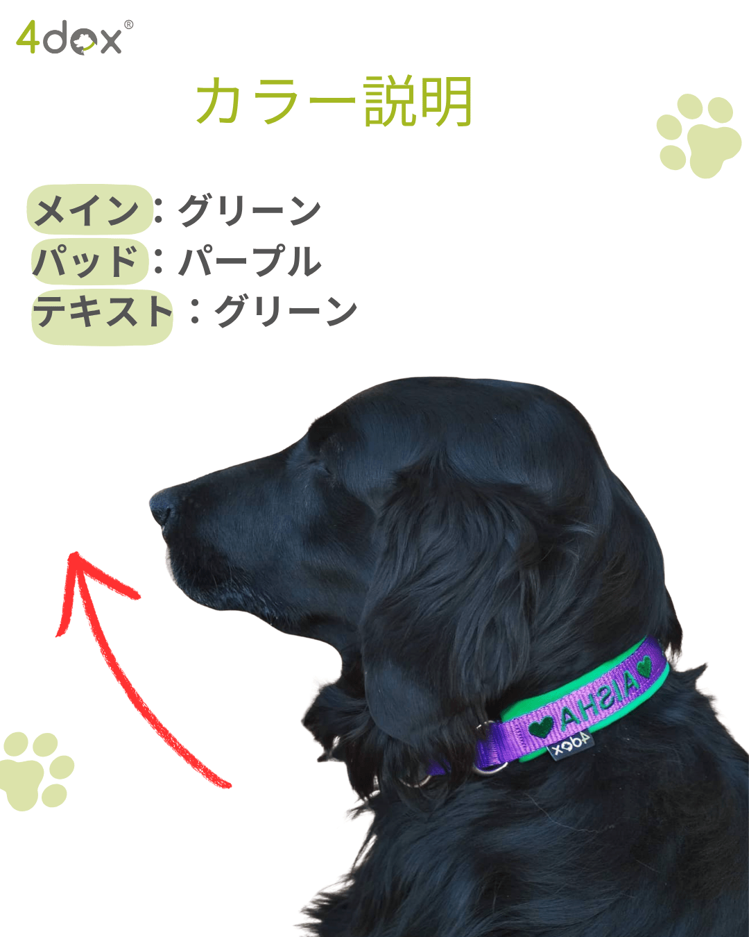4dox ネーム入り首輪|小型犬・中型犬・大型犬対応|カスタムメイド 4dox ネーム入り首輪|小型犬・中型犬・大型犬対応|カスタムメイド