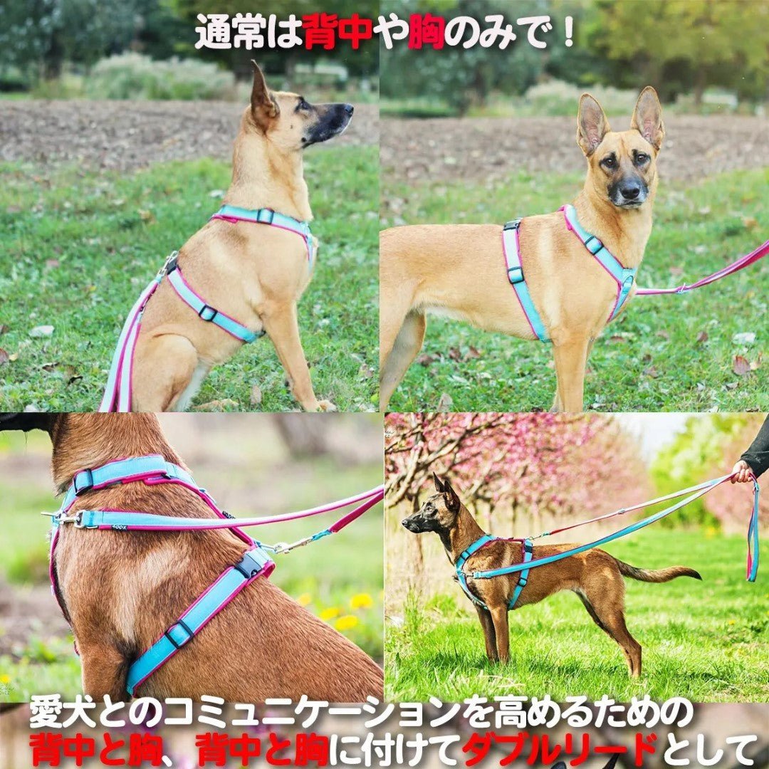 犬用ハーネス4dox｜H・Y形状｜引っ張る力を均等分散｜高品質パッド入り