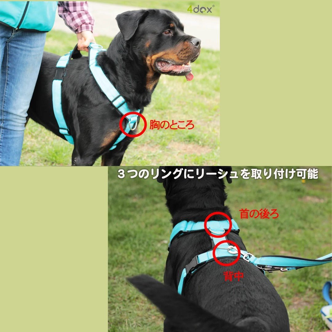 犬用ハーネス 4dox - コンフォートプラスハーネス XL / XXL| 全体パッド付きで引っ張りの負担を軽減｜ペット・ペット用品>ペット用品>ペット用首輪・ハーネス