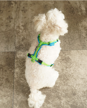 犬用ハーネス 4dox コンフォトプラスハーネス 小型犬用 – カスタムメイドハーネス オリジナルカラー＆文字入れ無料