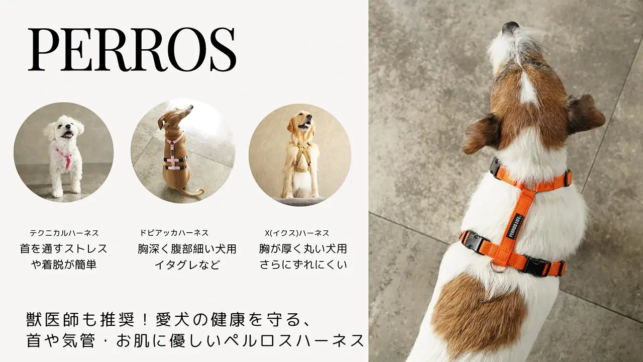 獣医師推奨 犬 ハーネス 安全・安心ハーネス